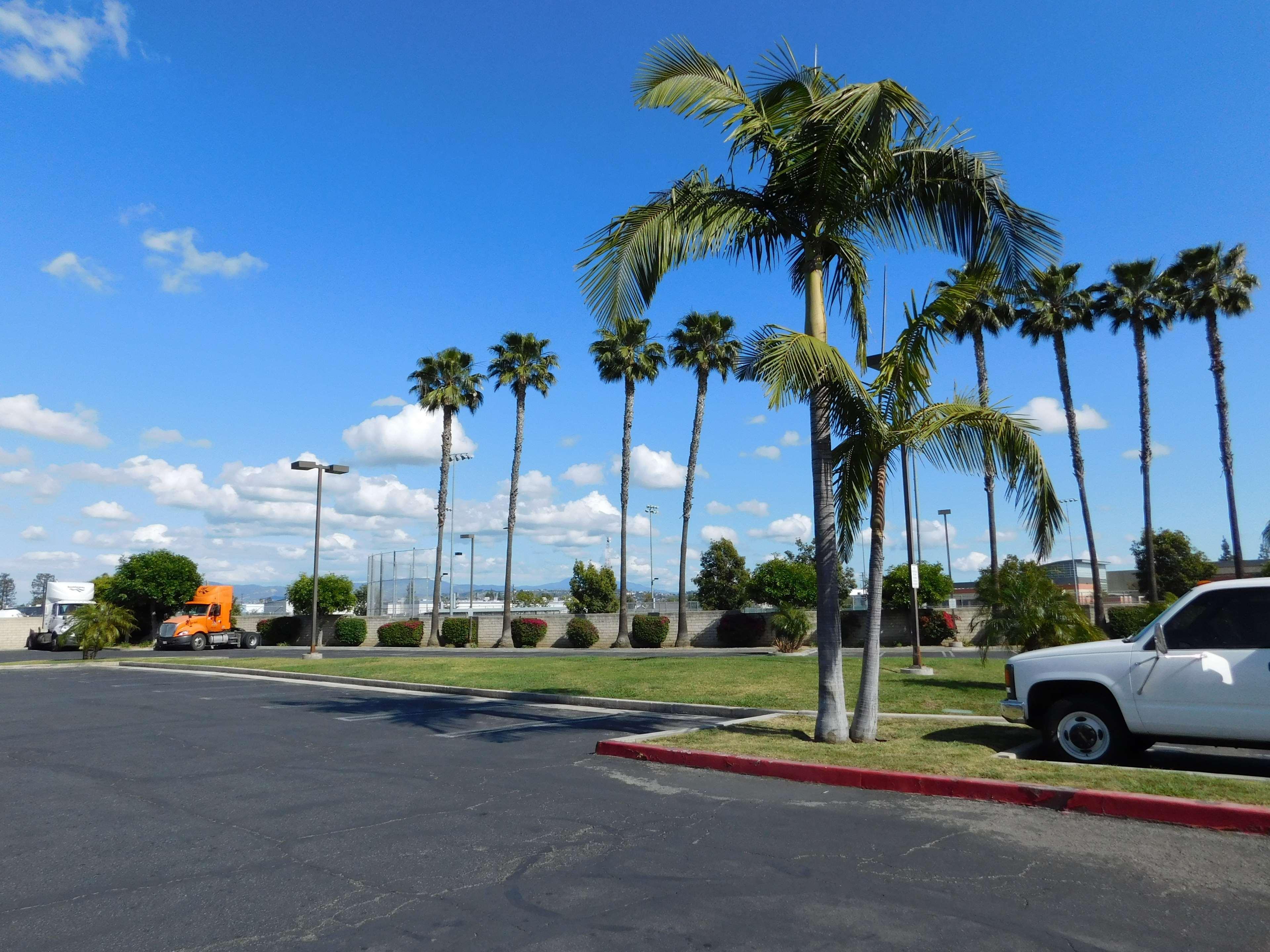 Best Western Plus - Anaheim Orange County Hotel Placentia Εξωτερικό φωτογραφία