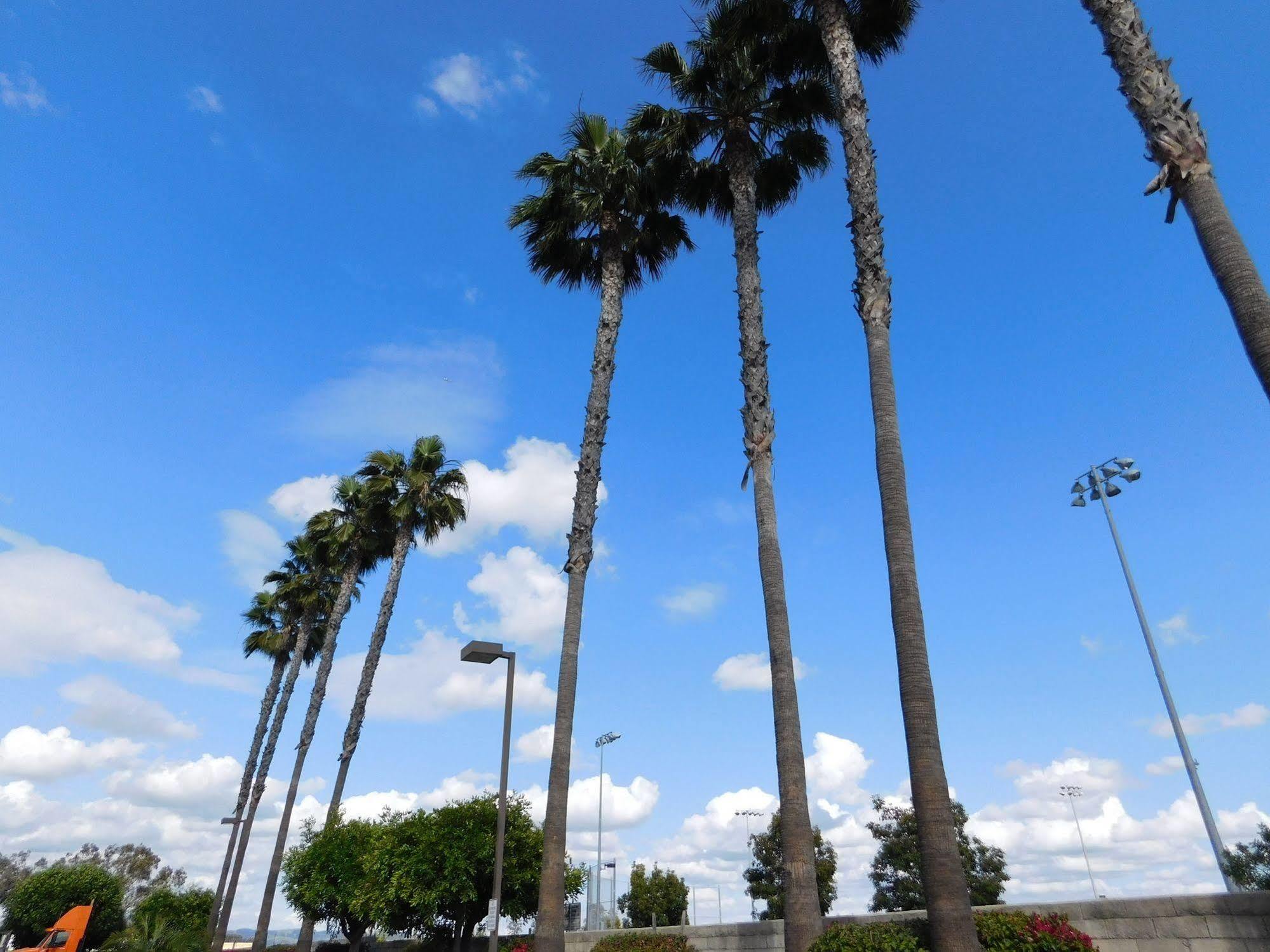 Best Western Plus - Anaheim Orange County Hotel Placentia Εξωτερικό φωτογραφία